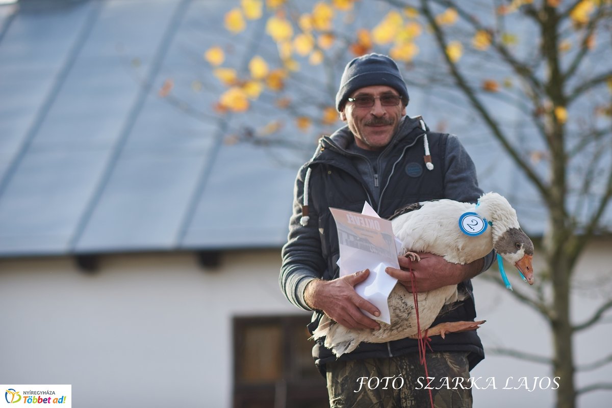 Márton-napi vigasságok 2019