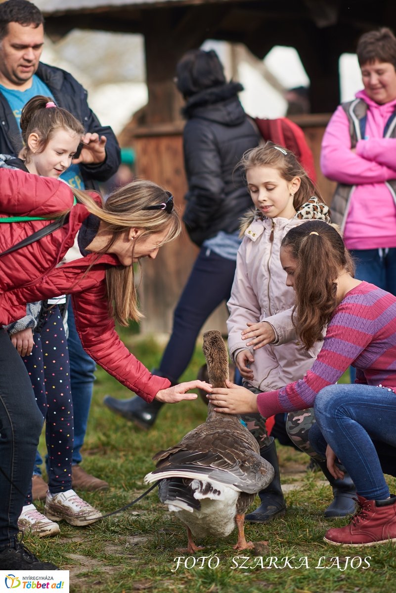 Márton-napi vigasságok 2019