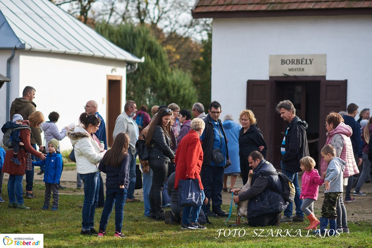 Márton-napi vigasságok 2019