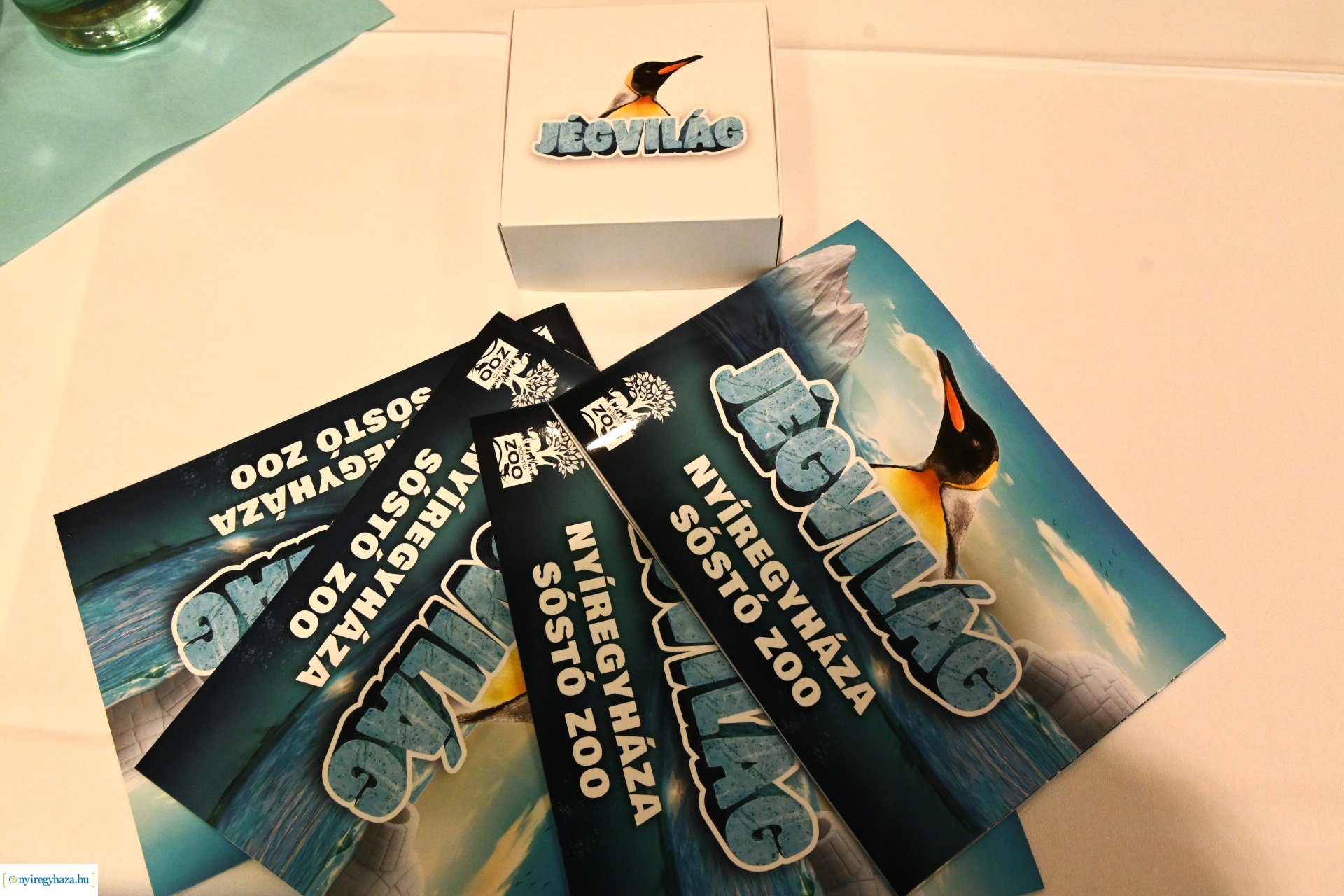 MÁASZ ülés a Pangeában