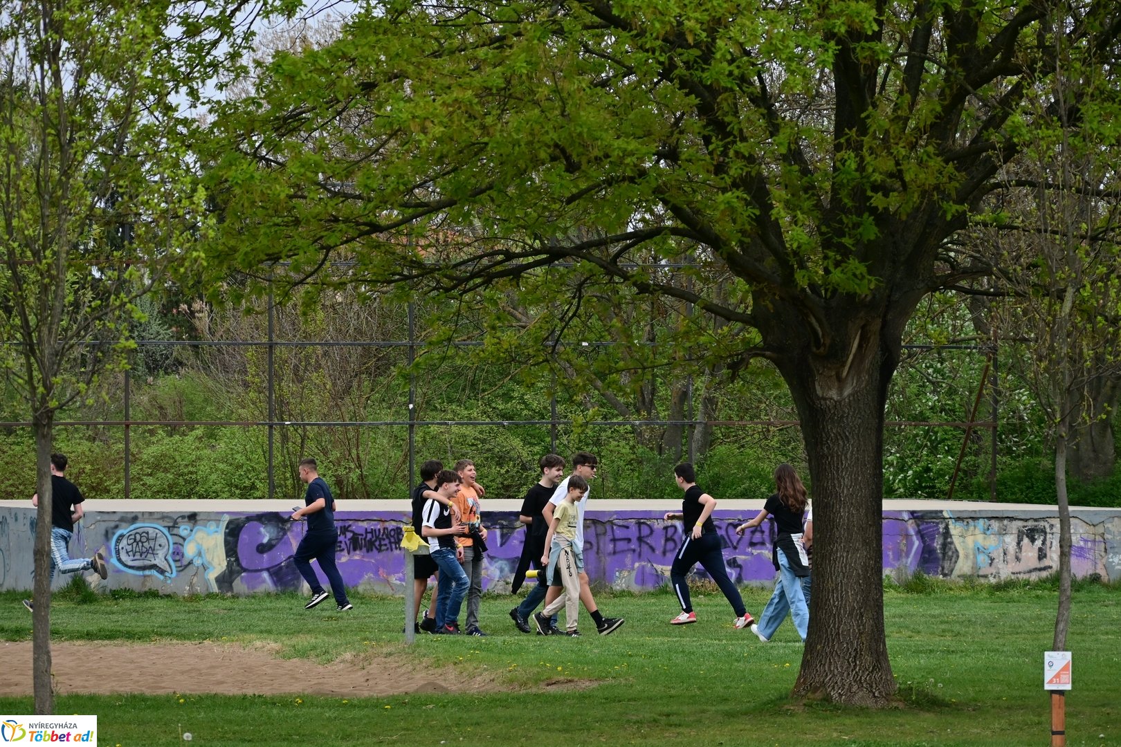 Matematika a Ligetben - 2026