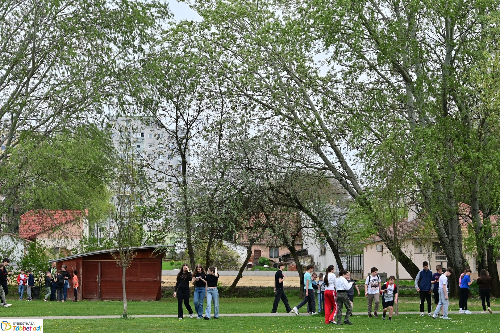 Matematika a Ligetben - 2026