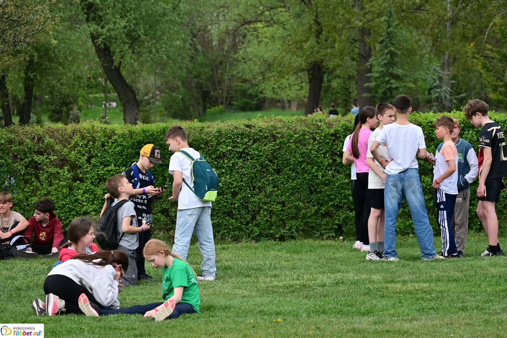 Matematika a Ligetben - 2026