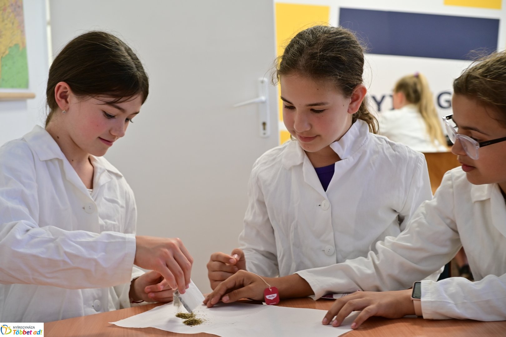 MCC Nyílt Nap 2025 júniusában