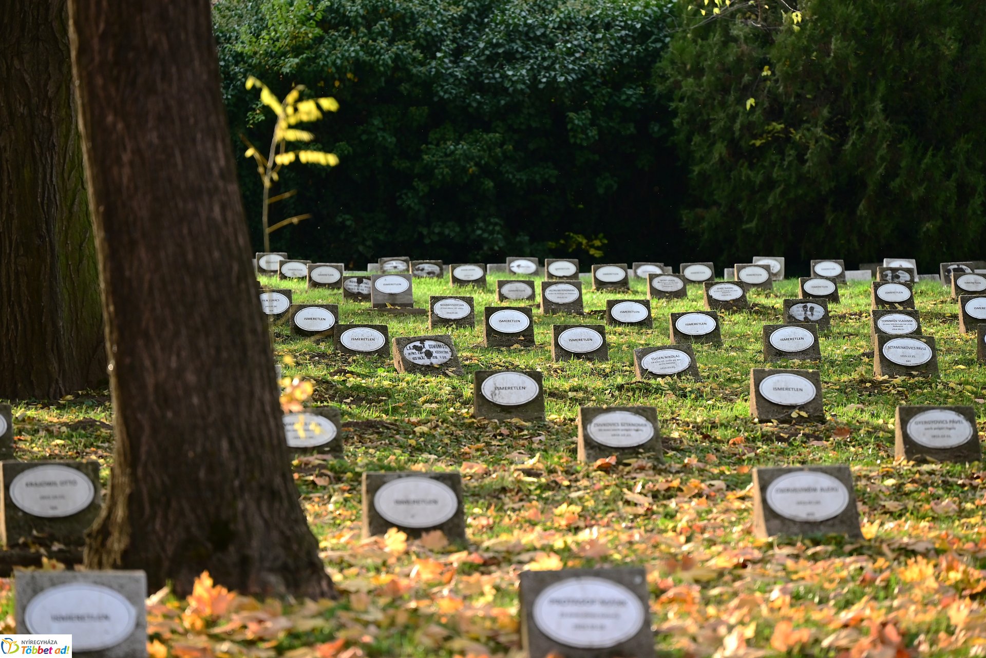 Mécsesgyújtás a Hősök temetőjében