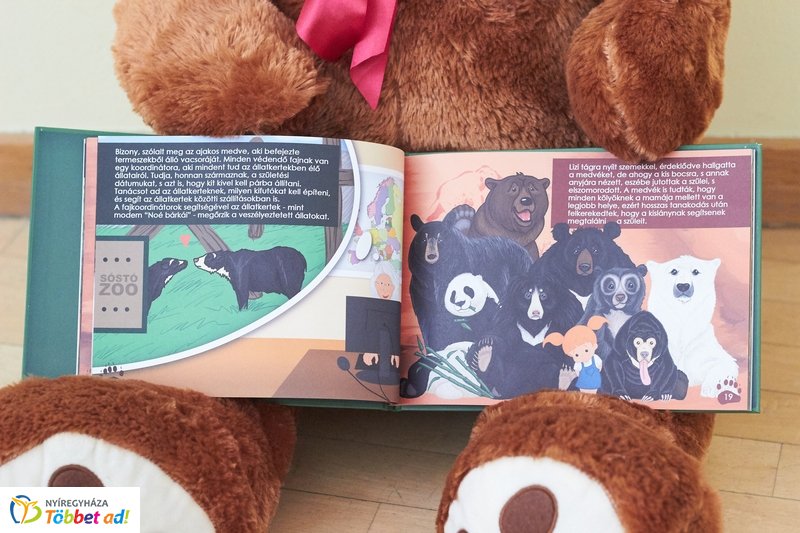 Medvés könyv a könyvtárban