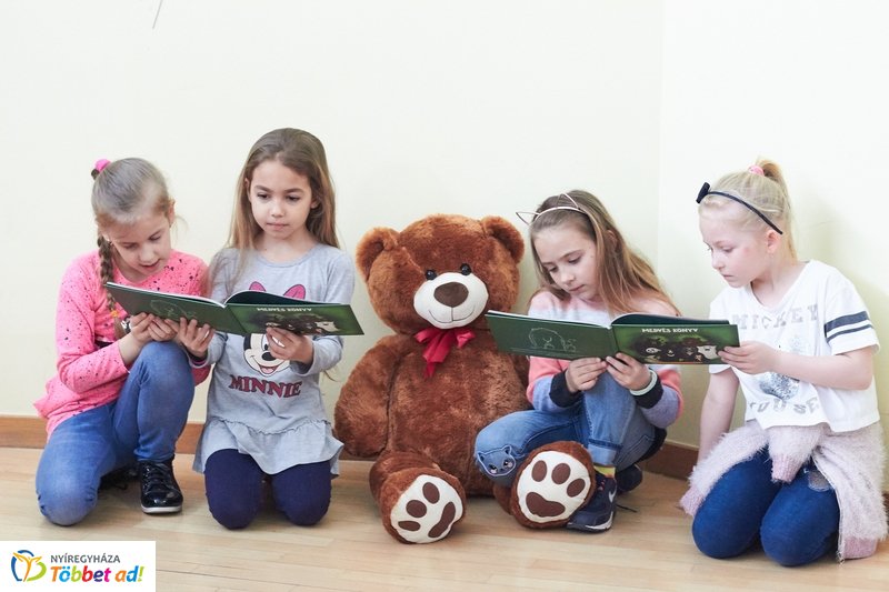 Medvés könyv a könyvtárban