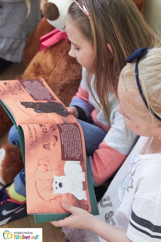 Medvés könyv a könyvtárban