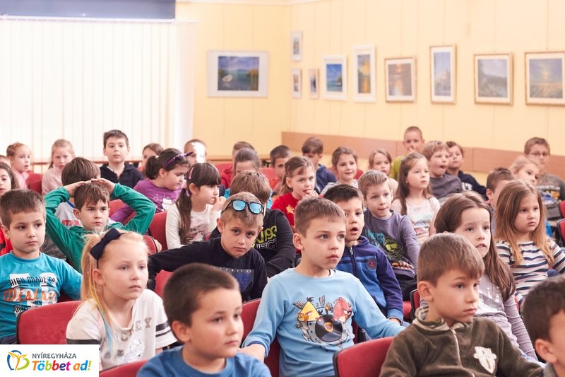 Medvés könyv a könyvtárban