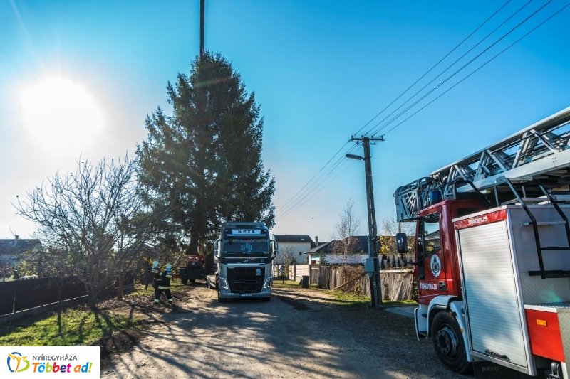 Megérkezett a karácsonyfa a Kossuth térre