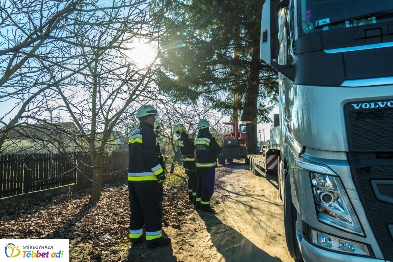 Megérkezett a karácsonyfa a Kossuth térre