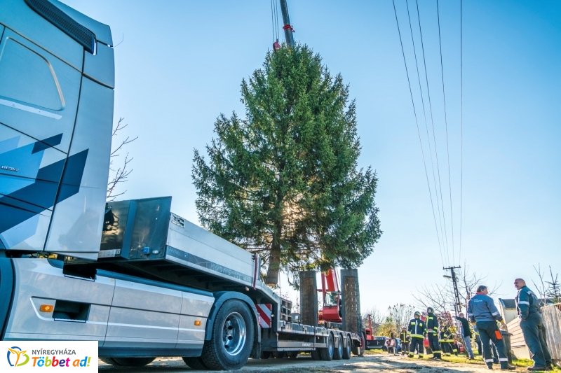 Megérkezett a karácsonyfa a Kossuth térre