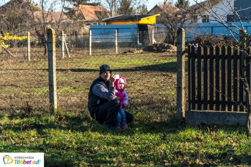 Megérkezett a karácsonyfa a Kossuth térre