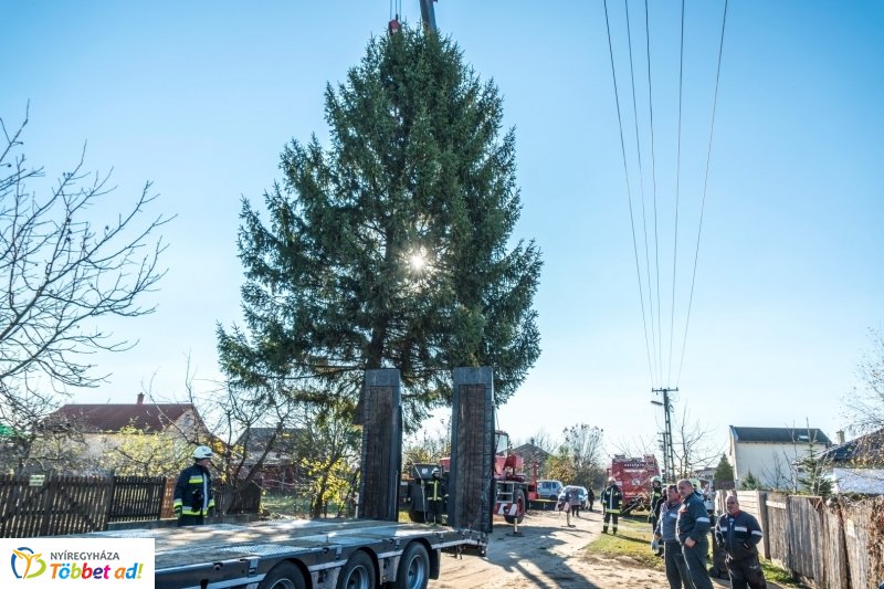 Megérkezett a karácsonyfa a Kossuth térre