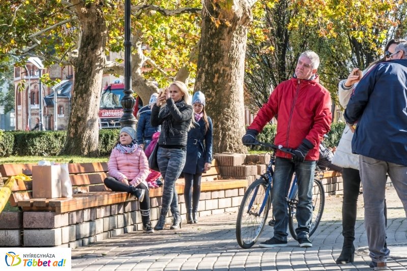 Megérkezett a karácsonyfa a Kossuth térre