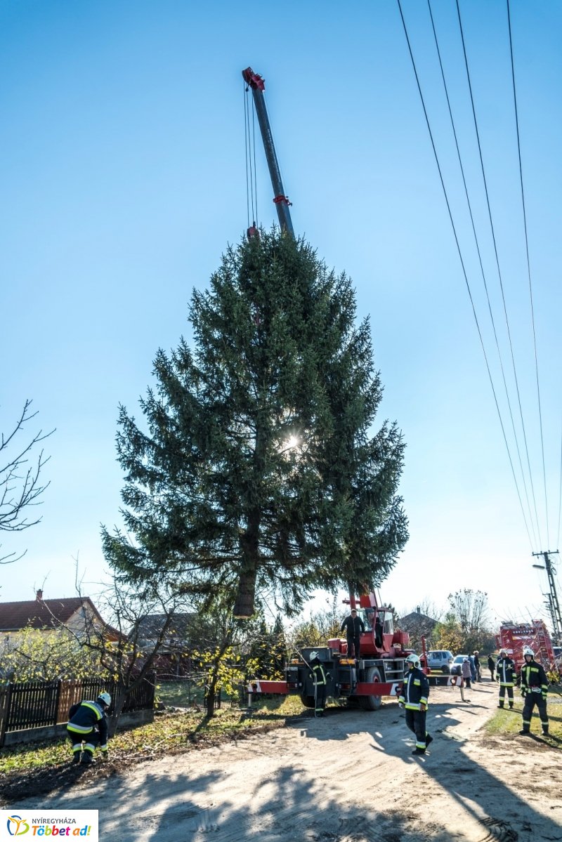Megérkezett a karácsonyfa a Kossuth térre
