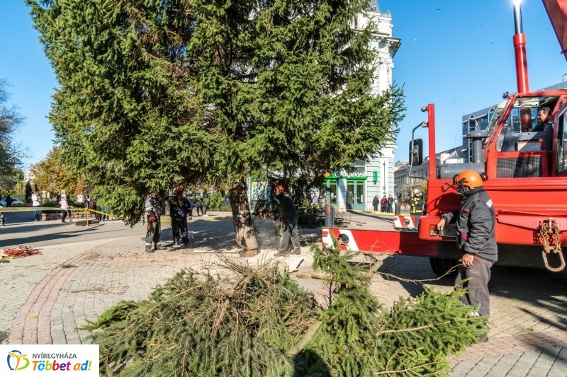 Megérkezett a karácsonyfa a Kossuth térre
