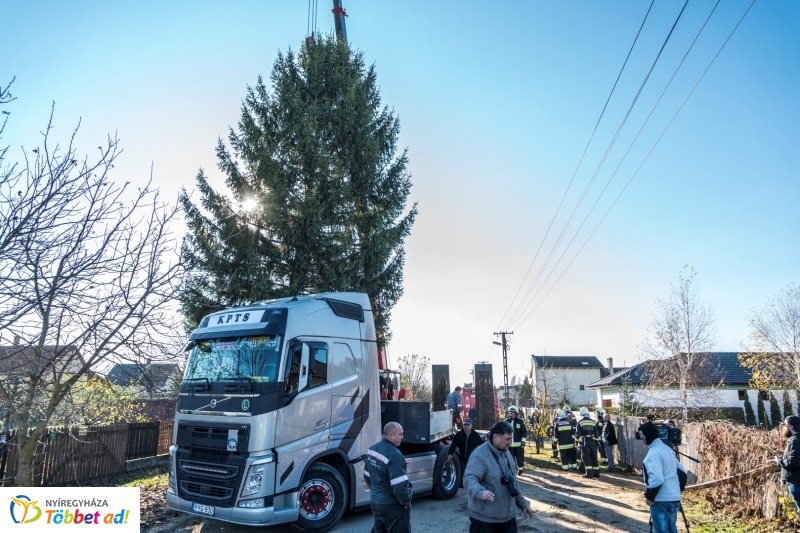 Megérkezett a karácsonyfa a Kossuth térre