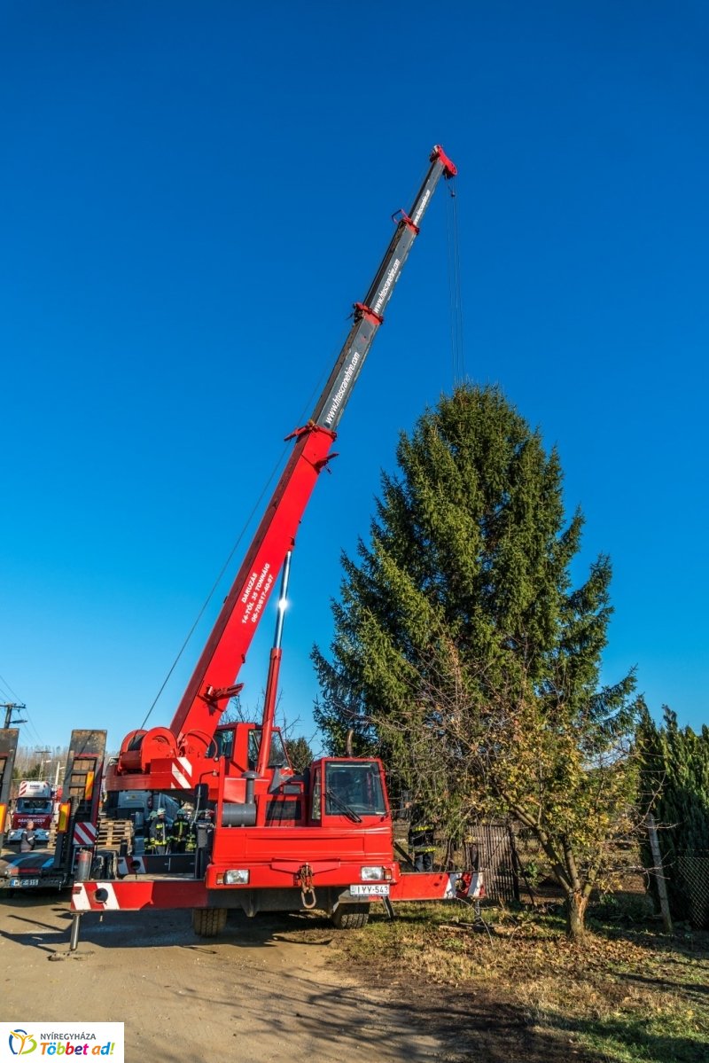 Megérkezett a karácsonyfa a Kossuth térre