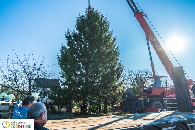 Megérkezett a karácsonyfa a Kossuth térre