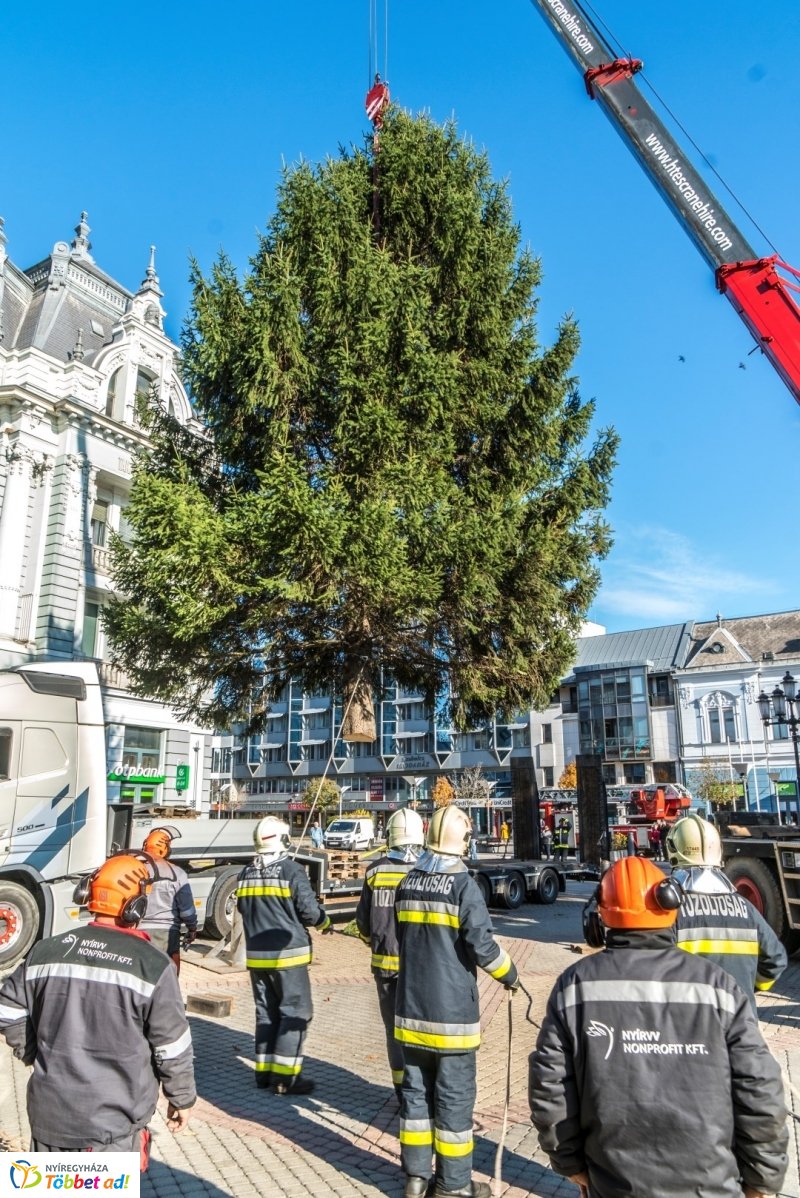 Megérkezett a karácsonyfa a Kossuth térre
