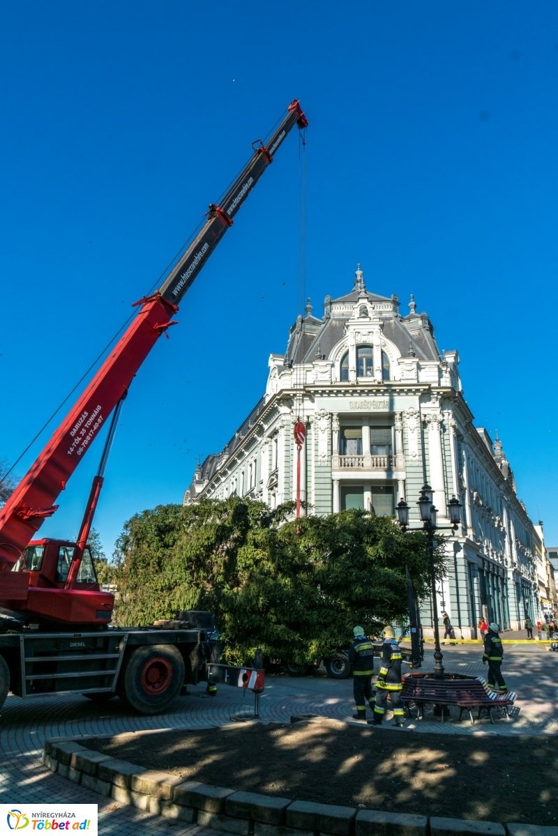 Megérkezett a karácsonyfa a Kossuth térre