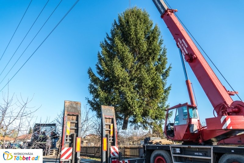 Megérkezett a karácsonyfa a Kossuth térre