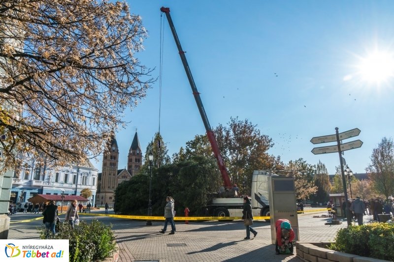 Megérkezett a karácsonyfa a Kossuth térre
