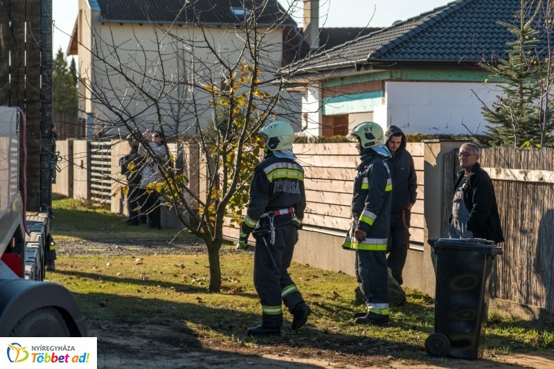 Megérkezett a karácsonyfa a Kossuth térre