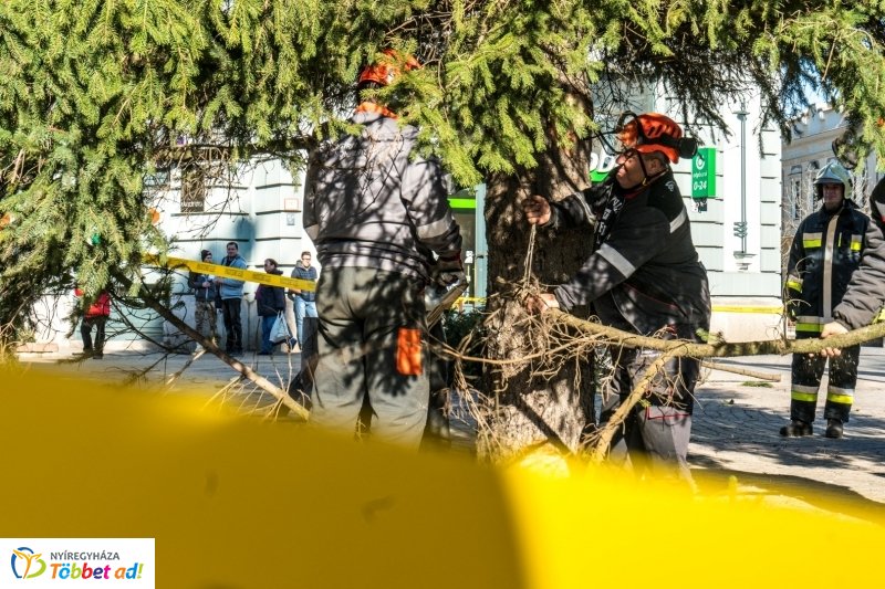 Megérkezett a karácsonyfa a Kossuth térre