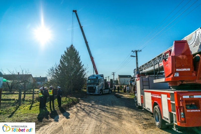 Megérkezett a karácsonyfa a Kossuth térre