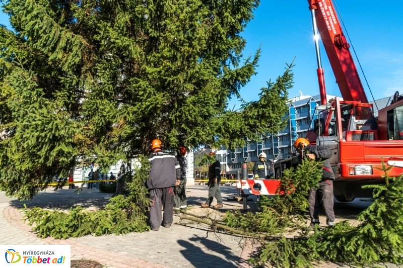 Megérkezett a karácsonyfa a Kossuth térre