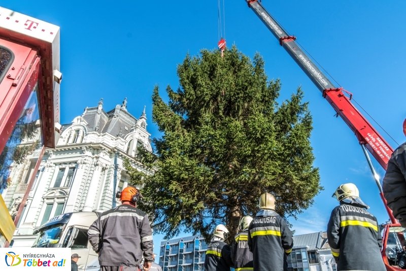 Megérkezett a karácsonyfa a Kossuth térre