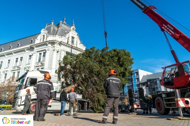 Megérkezett a karácsonyfa a Kossuth térre