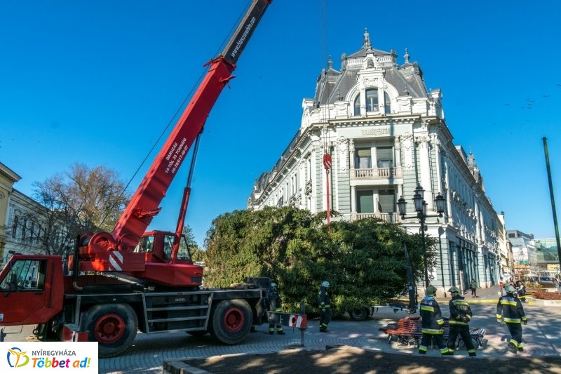 Megérkezett a karácsonyfa a Kossuth térre