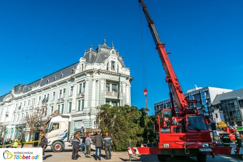 Megérkezett a karácsonyfa a Kossuth térre
