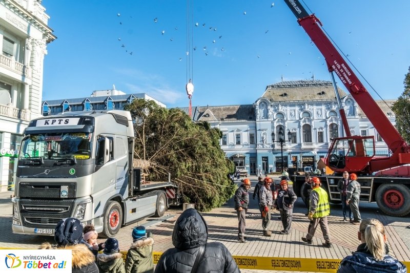 Megérkezett a karácsonyfa a Kossuth térre