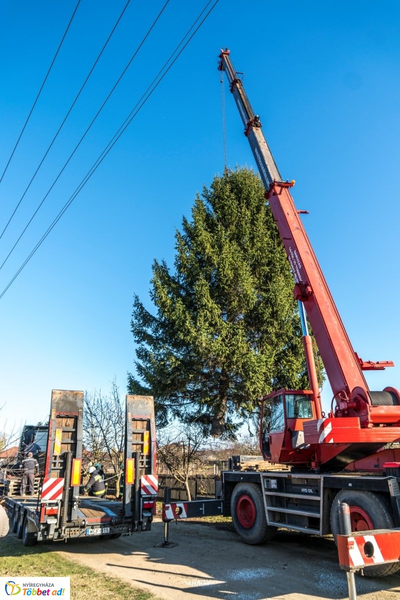 Megérkezett a karácsonyfa a Kossuth térre