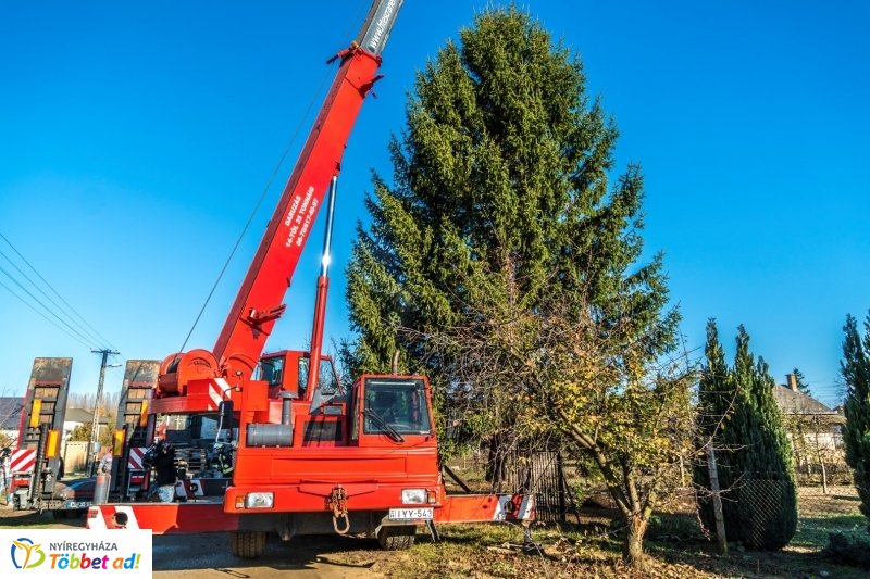 Megérkezett a karácsonyfa a Kossuth térre