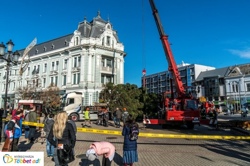 Megérkezett a karácsonyfa a Kossuth térre