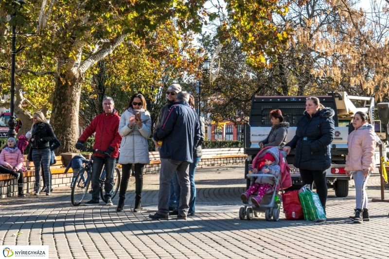 Megérkezett a karácsonyfa a Kossuth térre