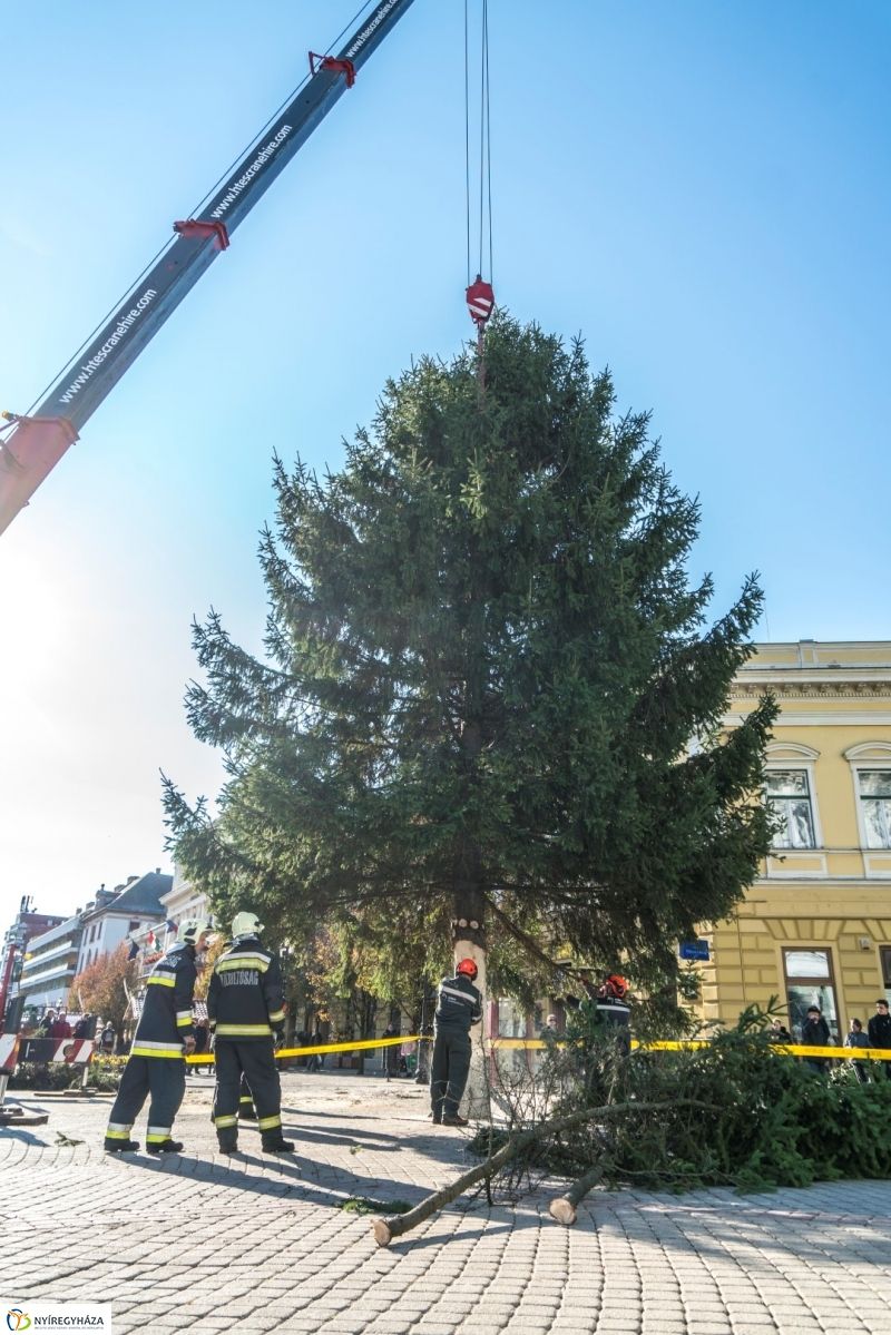 Megérkezett a karácsonyfa a Kossuth térre