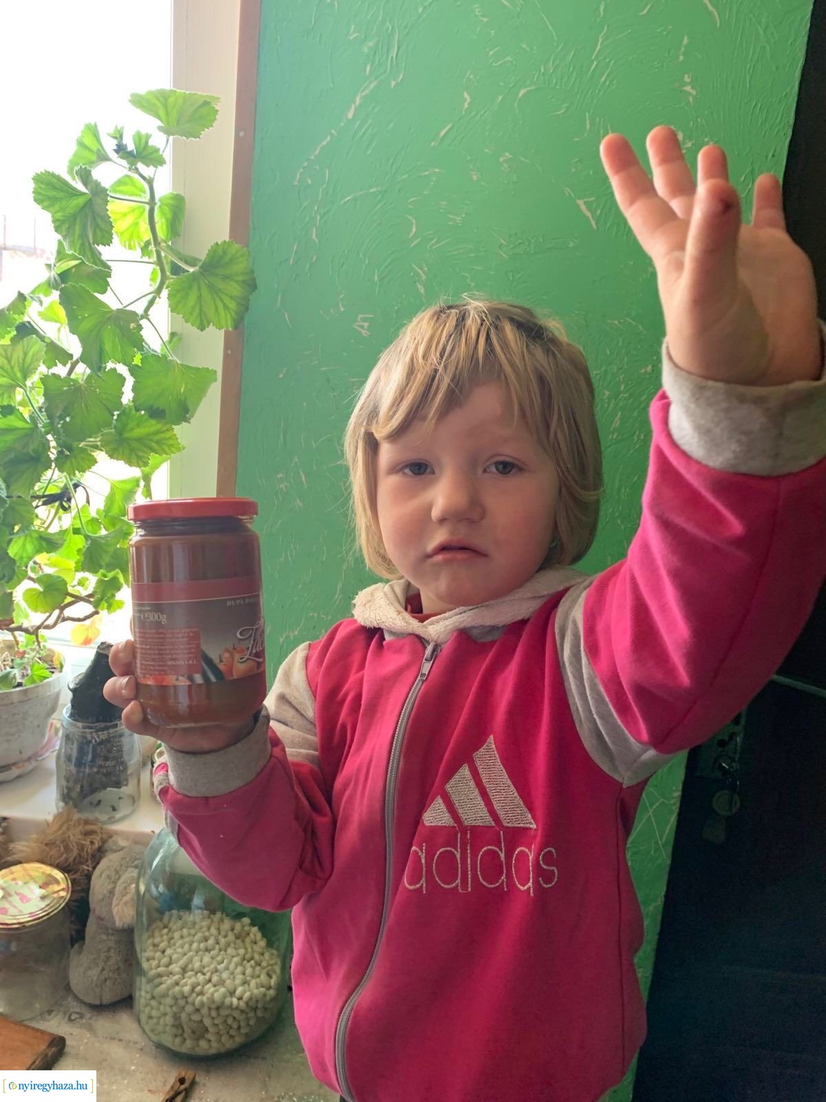 Megérkezett a második szállítmány is Kárpátaljára, amelyet a Rotary Club Nyíregyháza indított