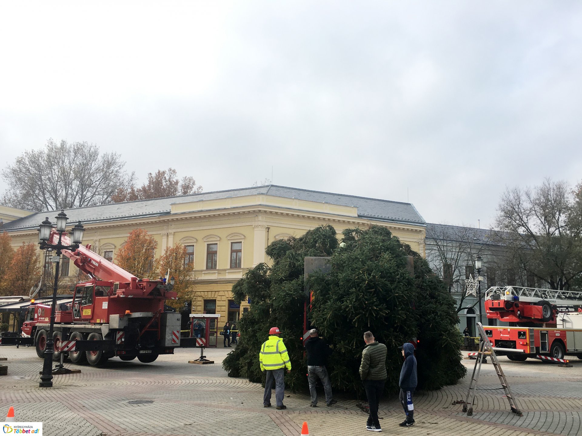 Megérkezett a város karácsonyfája - 2019