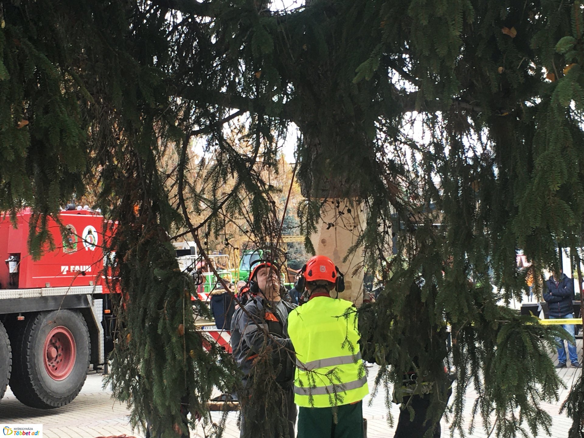 Megérkezett a város karácsonyfája - 2019