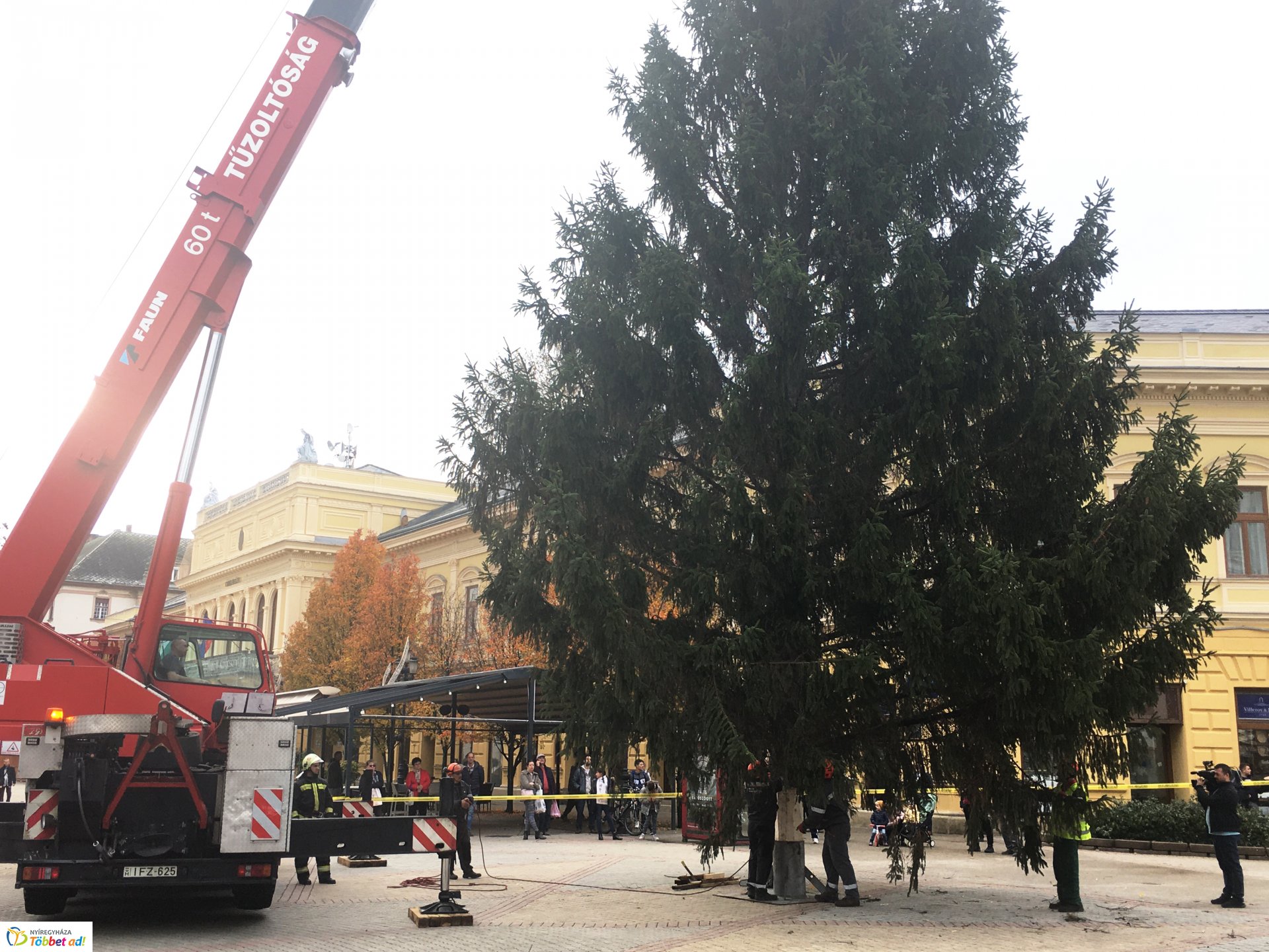 Megérkezett a város karácsonyfája - 2019