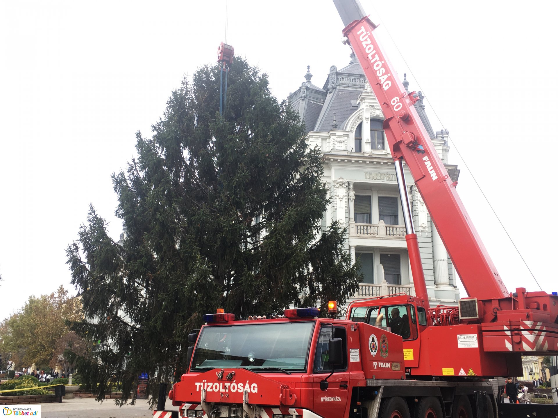Megérkezett a város karácsonyfája - 2019
