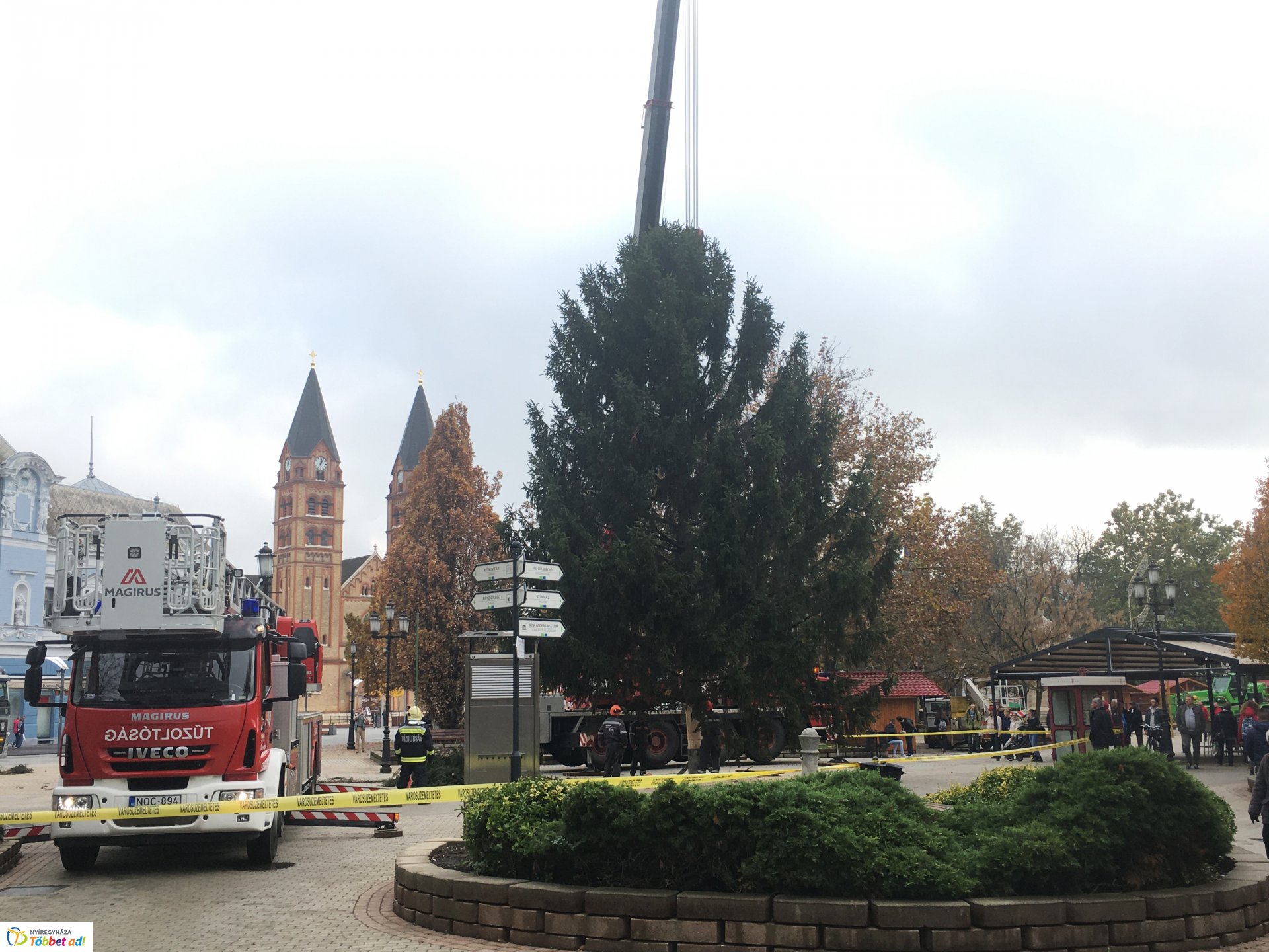 Megérkezett a város karácsonyfája - 2019