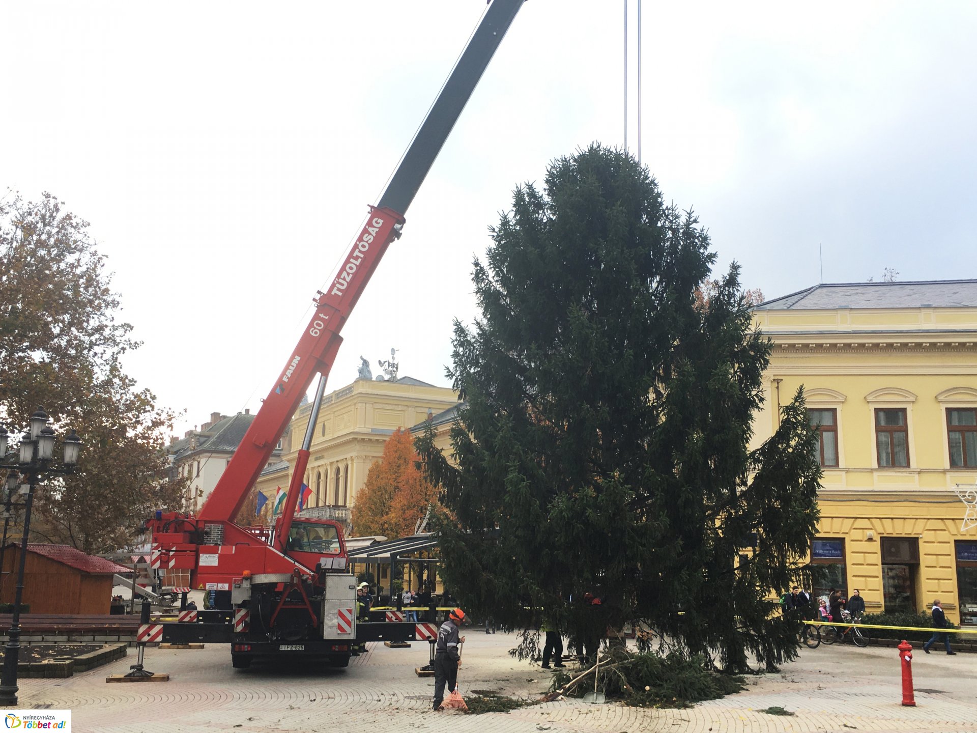 Megérkezett a város karácsonyfája - 2019