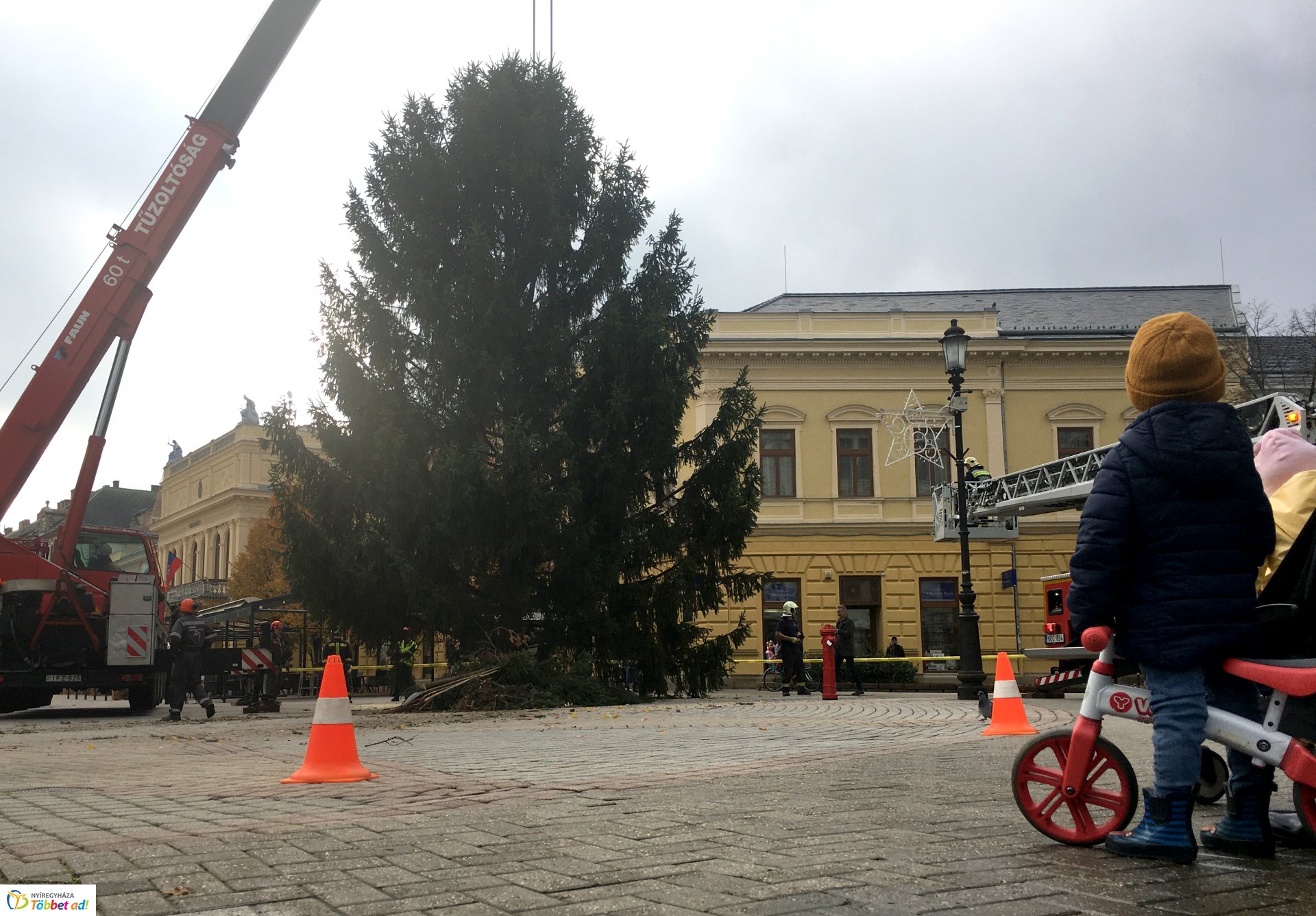 Megérkezett a város karácsonyfája - 2019